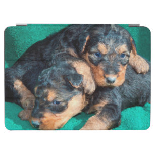 Airedale puppies lying on towel iPad air cover