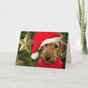 Airedale Season Greetings card