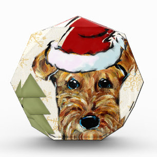 AIREDALE TERRIER AWARD