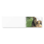 Airedale Terrier Bumper Sticker