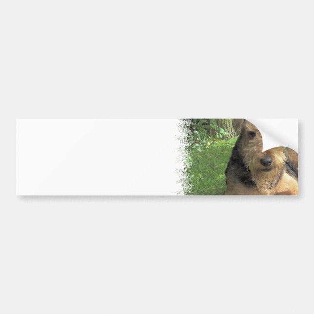 Airedale Terrier Bumper Sticker (Front)