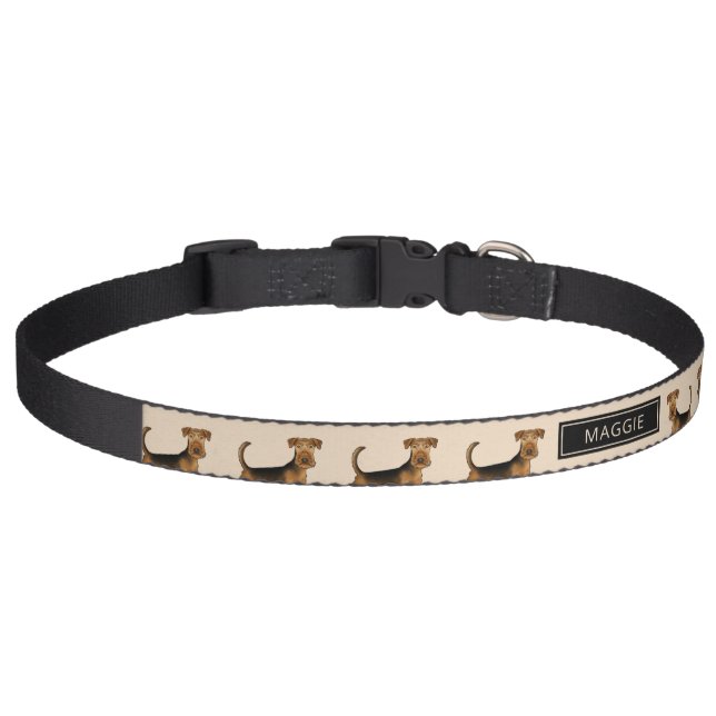 Airedale Terrier Cartoon Dog With Custom Name Pet Collar (Front)