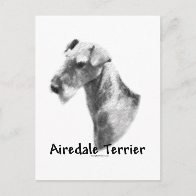 Airedale Terrier Charcoal Postcard (Front)