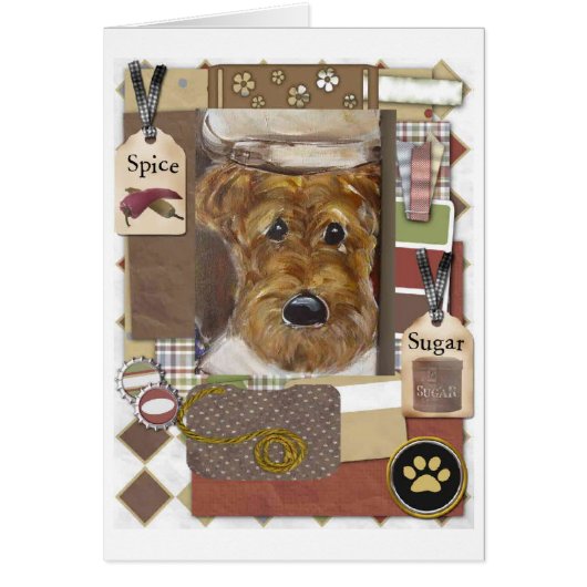 Airedale Terrier Chef Cards (Front)