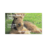 Airedale Terrier Dog Business Card