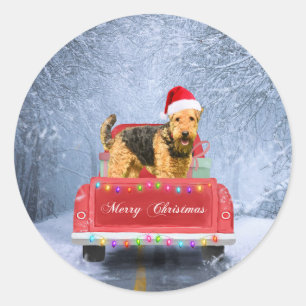 Airedale Terrier Dog in Snow sitting in Christmas  Classic Round Sticker