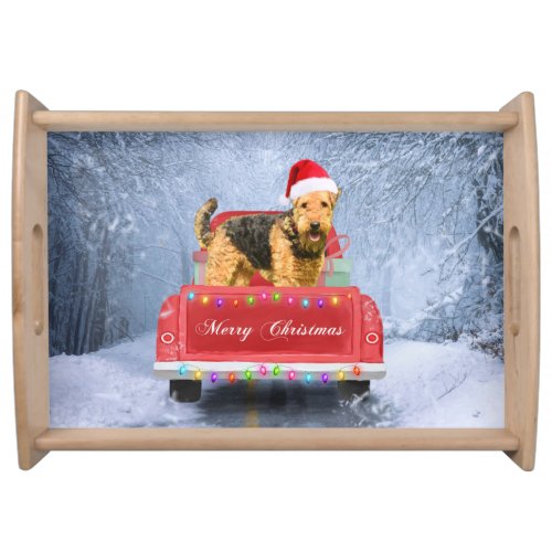 Airedale Terrier Dog in Snow sitting in Christmas  Serving Tray