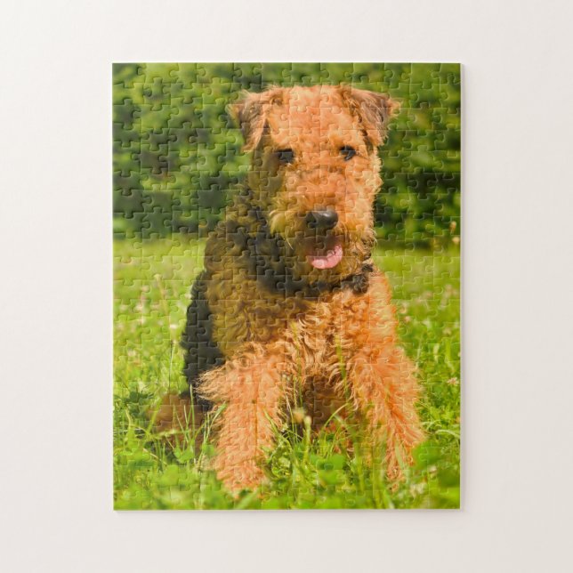 Airedale Terrier Dog. Jigsaw Puzzle (Vertical)