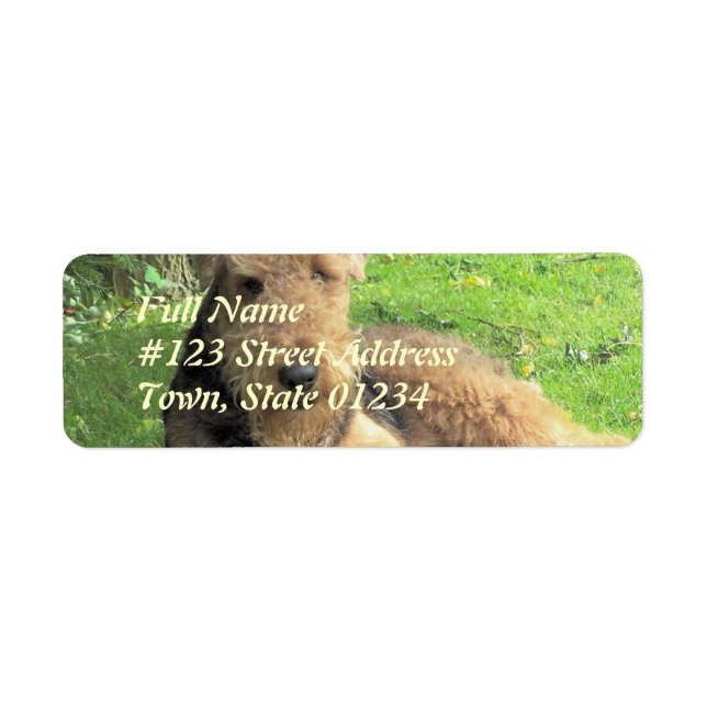 Airedale Terrier Dog Return Address Label (Front)