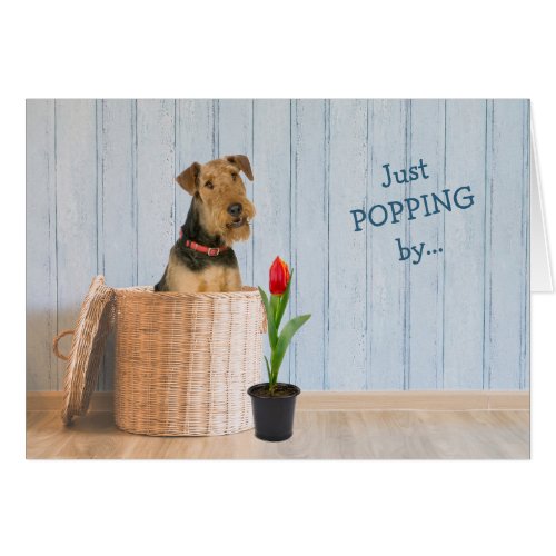 Airedale Terrier Dog Wicker Basket Birthday Card