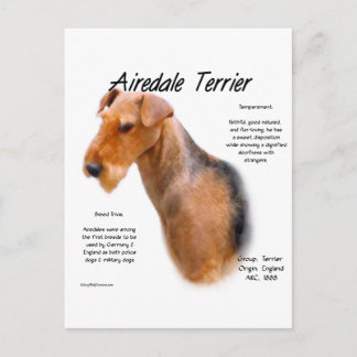 Airedale Terrier History Postcard