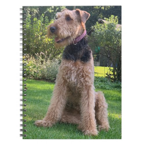 Airedale Terrier notebook