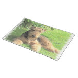 Airedale Terrier  Placemats