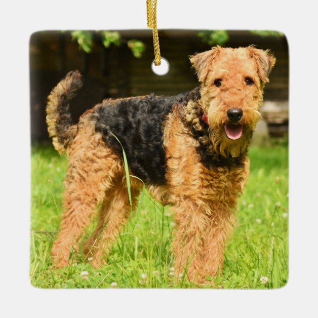 Airedale Terrier Puppy Dog Ceramic Ornament (Front)