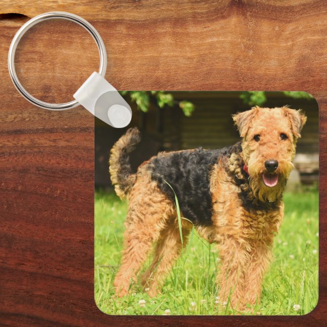 Airedale Terrier Puppy Dog Keychain (Front)