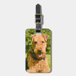 Airedale 2025 terrier merchandise