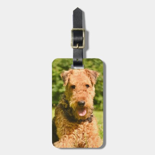 Airedale Terrier Puppy Dog Luggage Tag