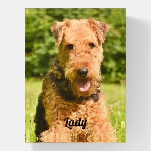 Airedale Terrier Puppy Dog Paperweight