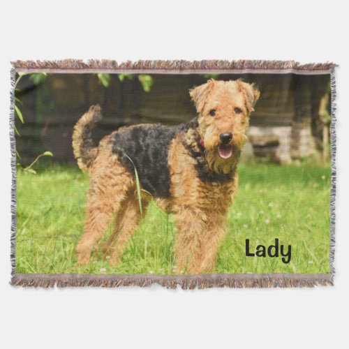 Airedale Terrier Puppy Dog Throw Blanket