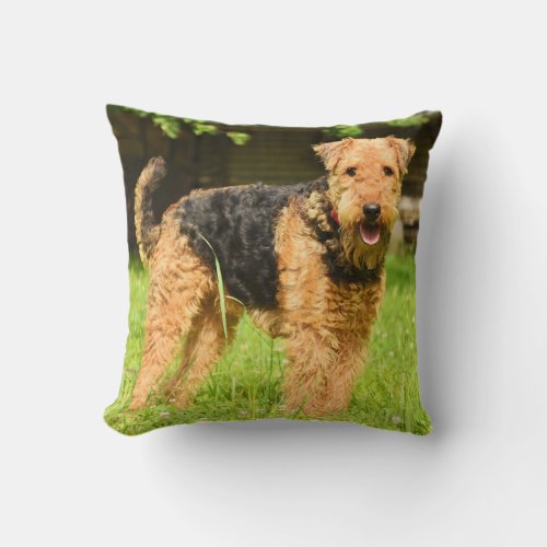 Airedale Terrier Puppy Dog Throw Pillow