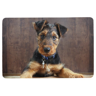 Cute Puppy Indoor Floor Mats Rugs Zazzle Cute Puppy Indoor Floor Mats Rugs