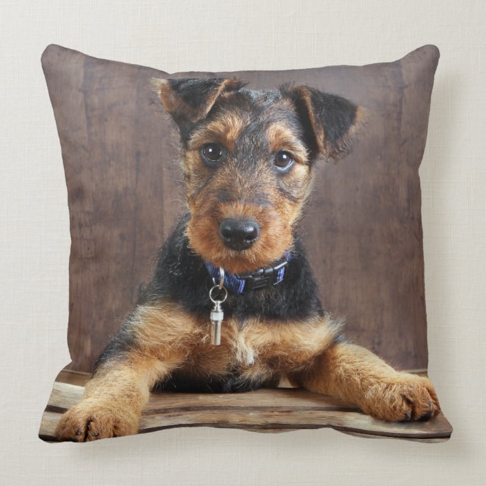 airedale pillow