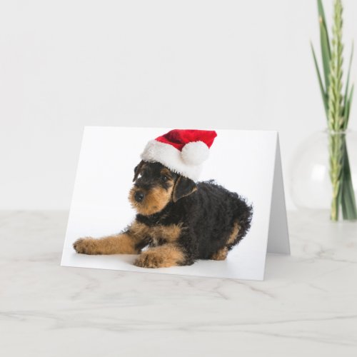Airedale Terrier Puppy Wearing Santa Hat Holiday Card
