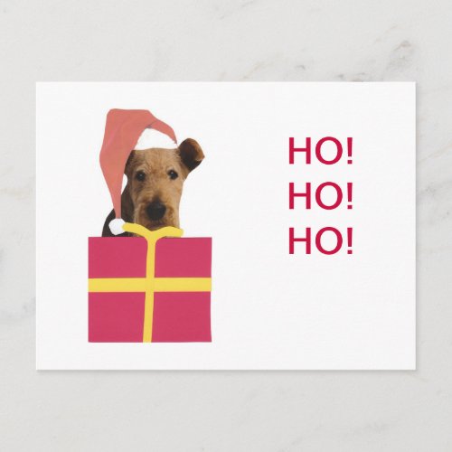Airedale Terrier Santa Hat Gift Box Holiday Postcard