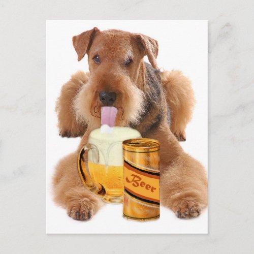 Airedale Terrier  shares a beer Postcard