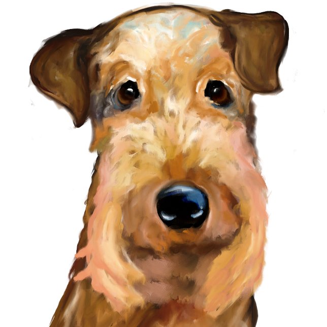 AIREDALE   TERRIER   THROW PILLOW (Creator Uploaded)