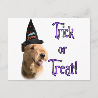 Airedale Terrier Trick Postcard