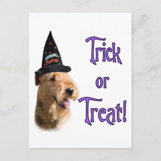 Airedale Terrier Trick Postcard