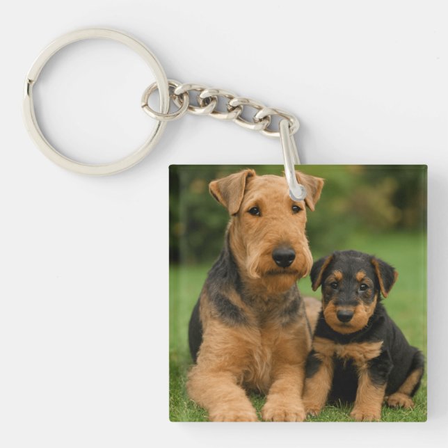 Airedale Terrier With Puppy Keychain (Front)