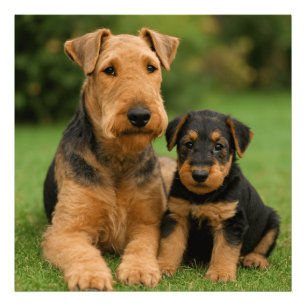 Airedale Terrier With Puppy Photo Print