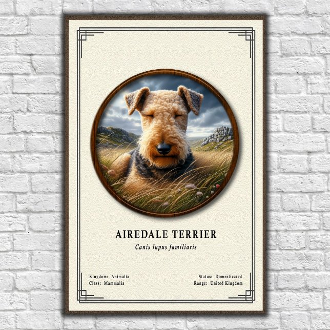 Airedale Terrier Zoology Series Poster (Creator Uploaded)
