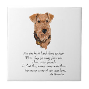 Airedale, Welsh, Lakeland Terrier Keepsake Ceramic Tile