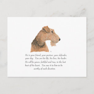 Airedale, Welsh, Lakeland Terrier Keepsake Postcard