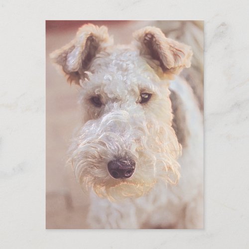Airedale Welsh Terrier Type Dog Puppy Head Postcard