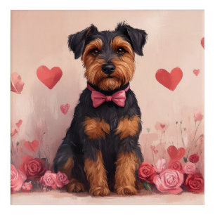 Airedale with Roses - Valentine's Day Acrylic Print
