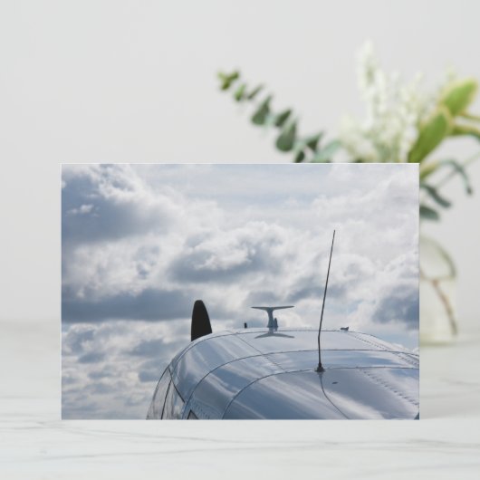 Airplane (Standing Front)