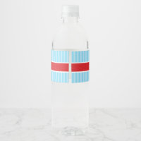 Retro Red Airplane Personalized Boy Birthday Water Bottle Labels 