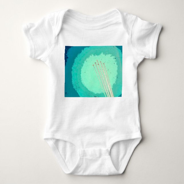 Airplane Flight  Baby Bodysuit (Front)
