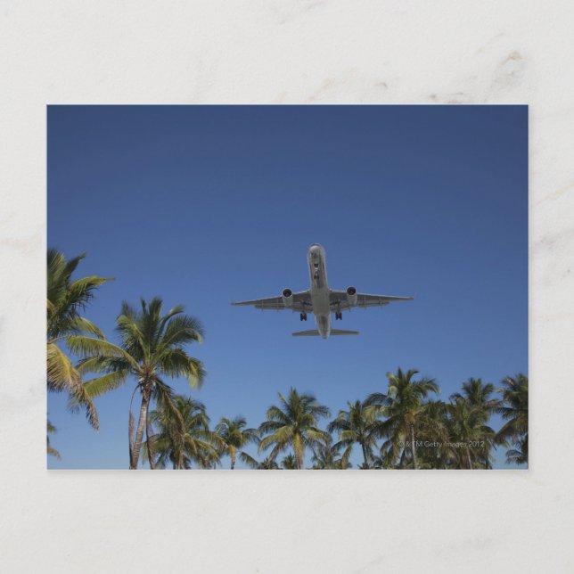 Airplane landing in Miami Postcard (Front)