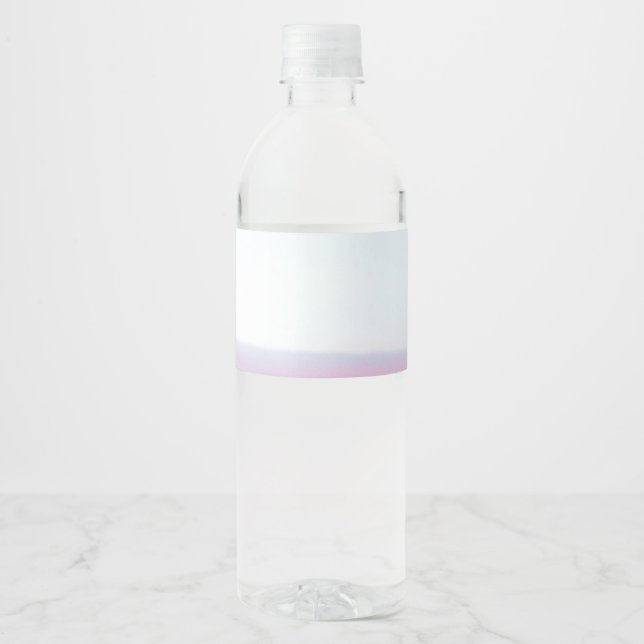 Airplane Pink Pastel Sky Water Bottle Label (Front)