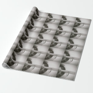 Airplane Propeller B&W Gift Wrapping Paper