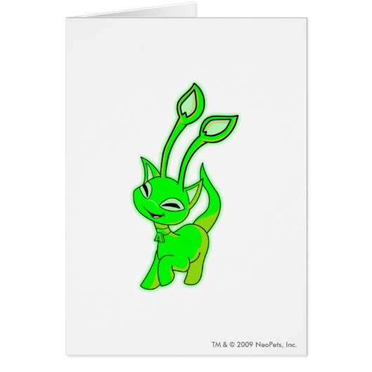 Aisha Glowing Cards (Front)