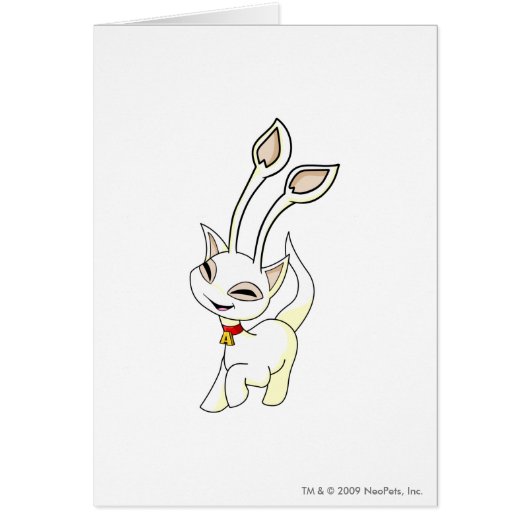 Aisha White Cards (Front)