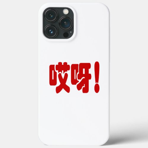 Aiya åŽå OMG Chinese Hanzi Language iPhone 13 Pro Max Case