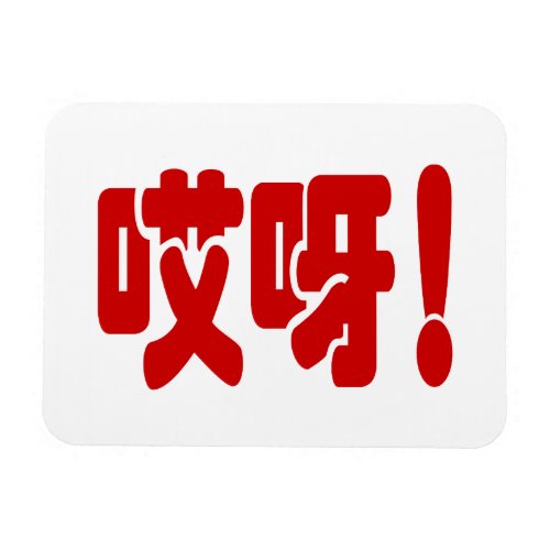Aiya 哎呀 OMG Chinese Hanzi Language Magnet