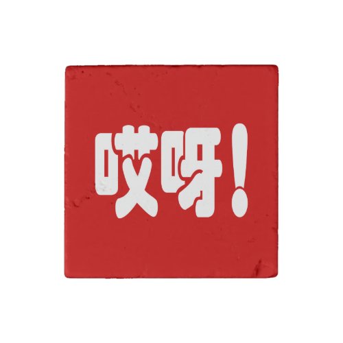 Aiya 哎呀 OMG Chinese Hanzi Language Stone Magnet